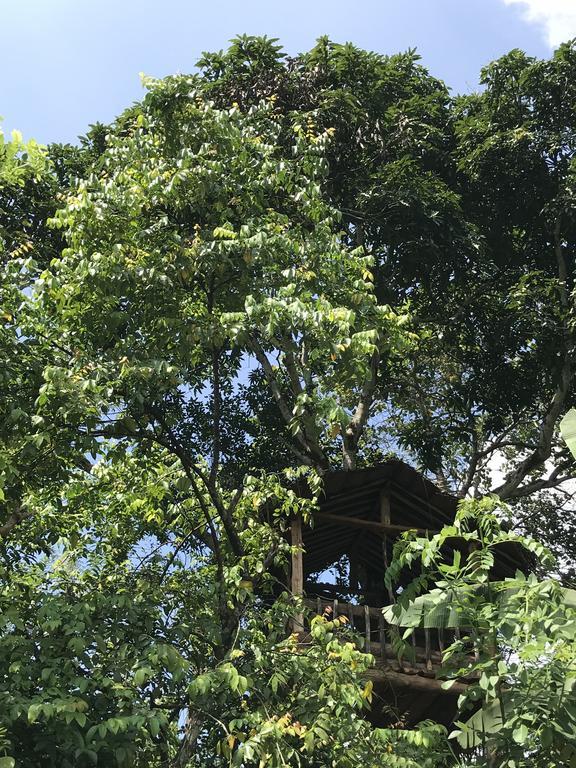 Plantation Retreat Pathadumbara Exterior foto