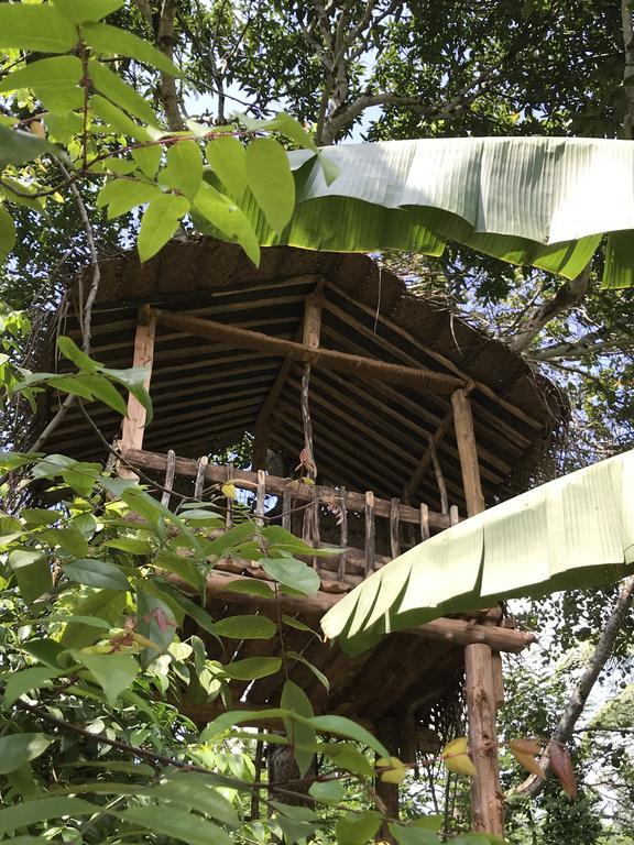 Plantation Retreat Pathadumbara Exterior foto